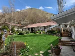 Alpaca Inn