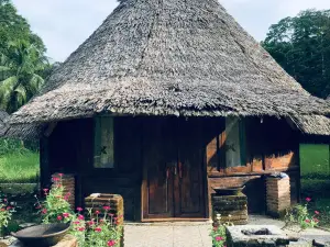 Pekkae Ecolodge and Cafe