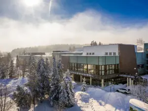 Ahorn Waldhotel Altenberg