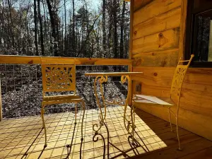 New, cozy cabin in the woods with hot tub! Centrally located!