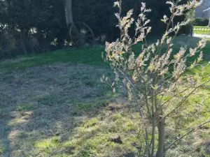 Charmante Maison Avec cheminée, Grand Jardin et Boxe Chevaux