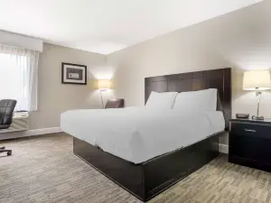 Best Western Bayou Inn