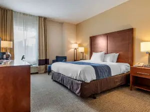 Comfort Inn Apalachin / Binghamton W Route 17