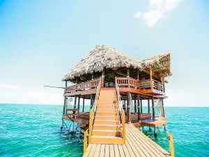 Almond Beach Resort at Jaguar Reef
