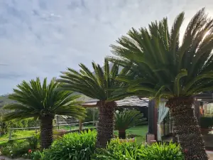 Tenuta D'Arienzo