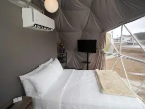 เดอะ เนสต์ แอท แบล็ค ฮอว์ก