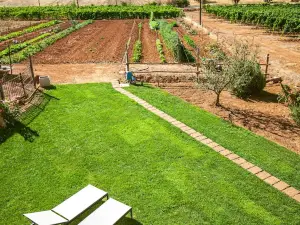 Poggiolivi Agriturismo Bio in Maremma