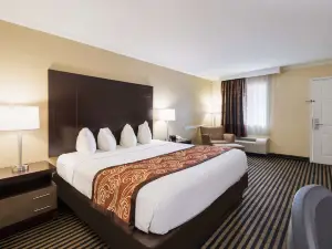 Best Western McKenzie