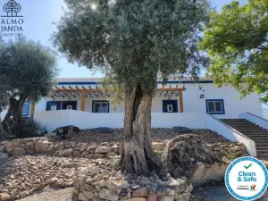 Almojanda 3 Olive Tree