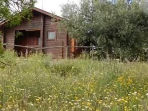 Casa la Colina Mandarina I