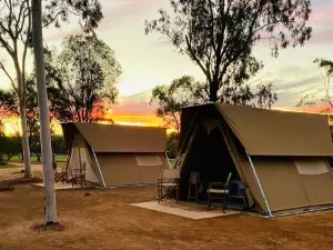 Glamping at Buckland Estate