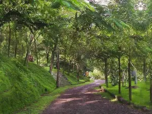 Glamping Furesa Experience - Hostel
