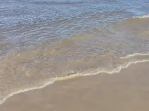 Pousada Atlântica Stay Home