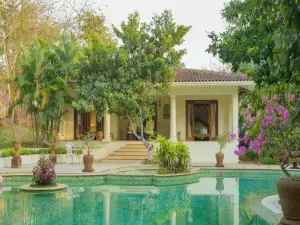 Emerald Leaf - Villa Nolina