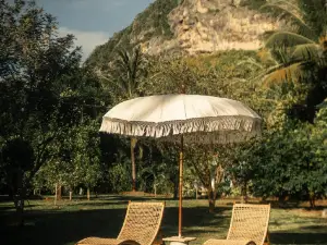 Naidi's Luxurious Private Villa