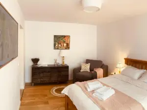 Warm and cozy studio flat near Straja