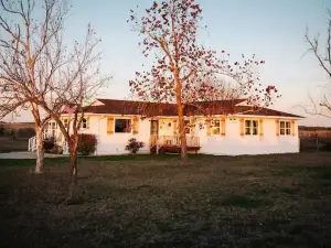 Private modern ranch