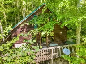 Hot Tub & No Pet Fee - Beary Secluded - Small Family Cabin in Red River Gorge, Kentucky!