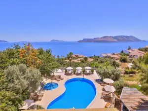 オレア ノヴァ ホテル