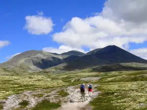 霍夫林根勞蘭德高地酒店