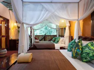Posada Amazonas