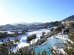 소노펠리체 비발디파크