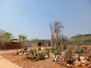 Okutala Etosha Lodge