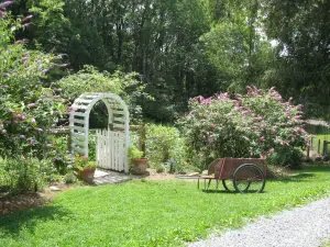 The Virginia Country Cottage: GREAT Location/Pet Friendly, 30 Acres,  close I81