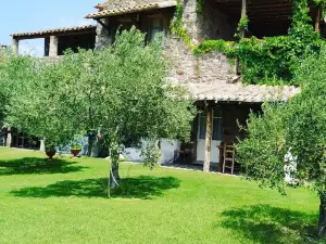 Domus Antiga Appartamenti