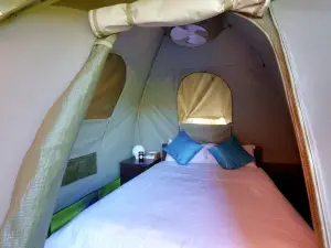 Tree Top Village Urban Glamping