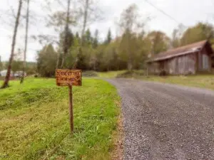 Serene Cottage in the Woods