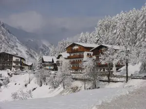 Hotel des Alpes