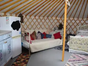 The Yurt in Cornish Woods a Glamping Experience