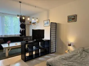 Spacious studio in Hedsjö