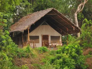 Selous Kulinda Camp
