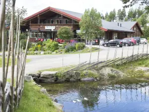 Hytter Dombås