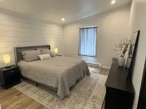 Brand new, modern, cozy house in the woods!