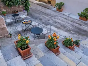 格蘭德撒拉利納夫普利翁酒店