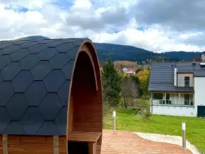 Hotel I Apartamenty Pod Śnieżnikiem