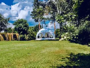 B Our Guest at Your Cozy Hideaway Dome Near Dresden