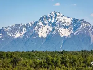 Luxury Living at The Eagles Perch Palmer AK