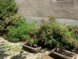 La Cour Pavée, T2 lumineux, cosy, confort 55 m2