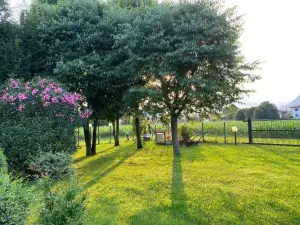 Romantica Camere le Fate Con Vista Sulle Montagne Vicino a Bassano del Grappa