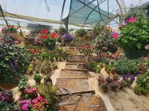 Cabaña el Faisán, Jardín de Dota