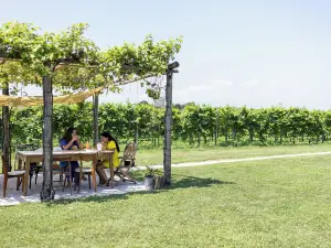 Agriturismo Da Zeffi