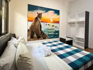 Crazy Bears Hostel