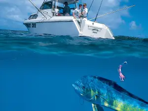 同安海灘度假村