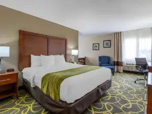 Comfort Inn Muscatine Near Hwy 61