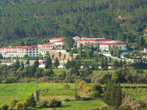 El Mouradi Hammam Bourguiba