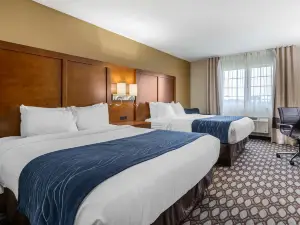 Comfort Inn